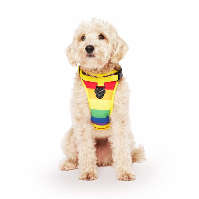 Canada pooch everything harness review sales