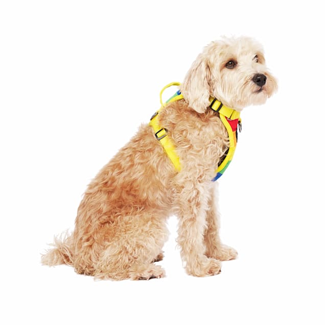Canada pooch everything harness medium online