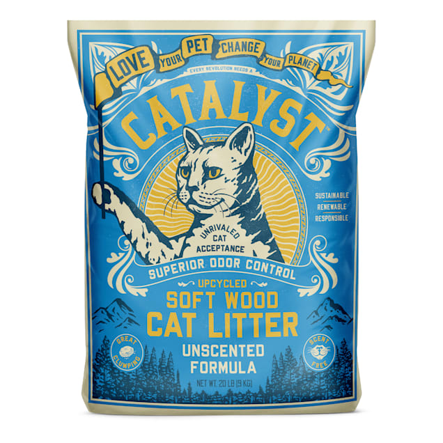 World's best cat litter petco store