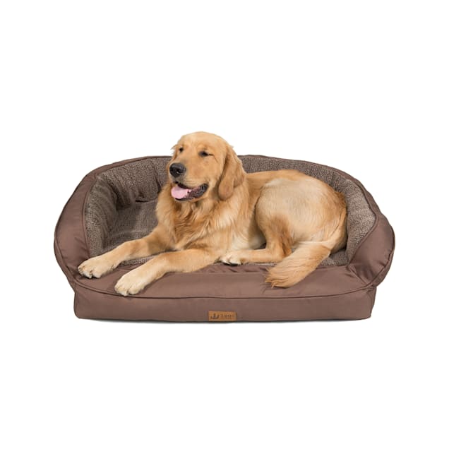 Dog cots petco sale