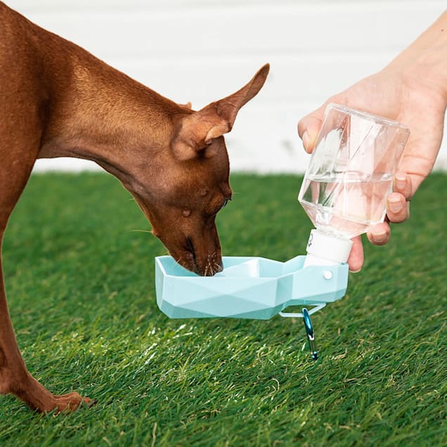 Dog Walking Is My Cardio' Pet Bowl & Water Bottle Set