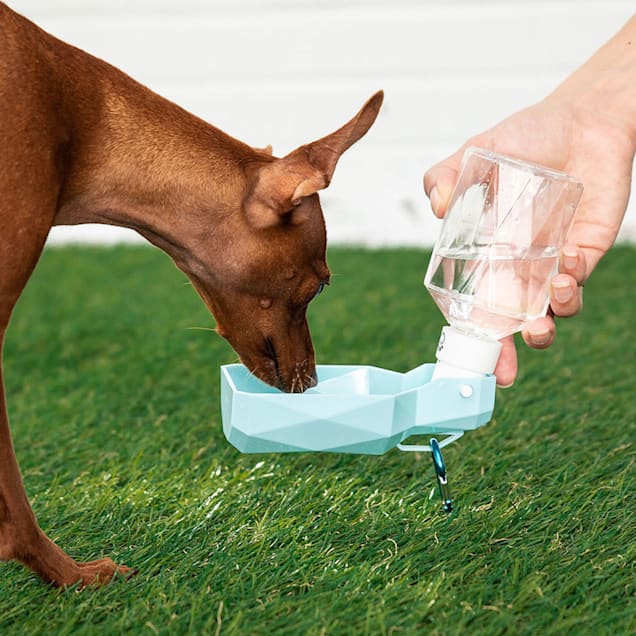 Petco dog water bottle outlet