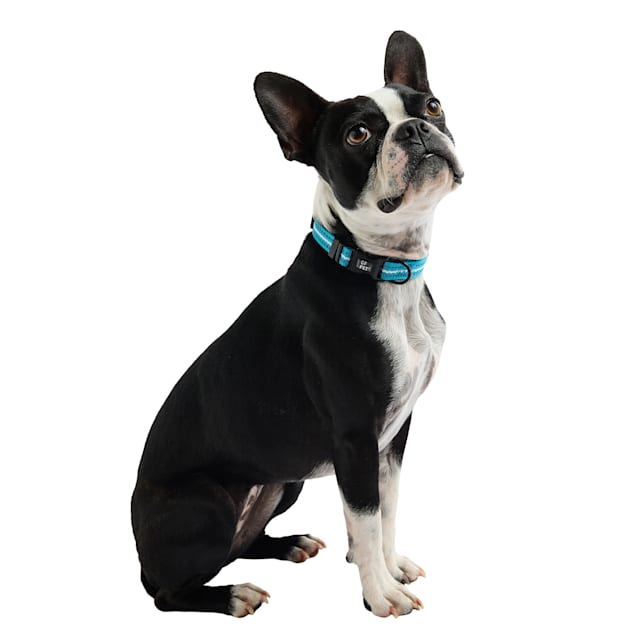 Polyester dark blue dog leash of the memopet collection with NFC technology.