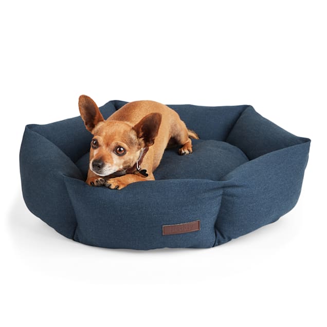 Reddy Primaloft Dog Bed, 22" L X 22" W X 5" H Petco