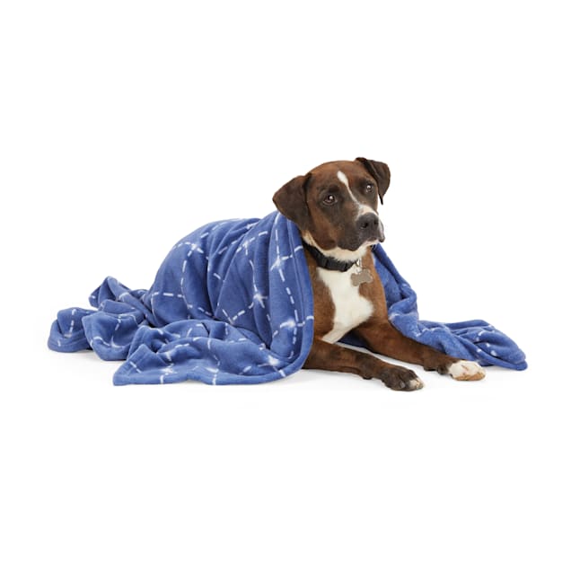 Petco dog blankets best sale
