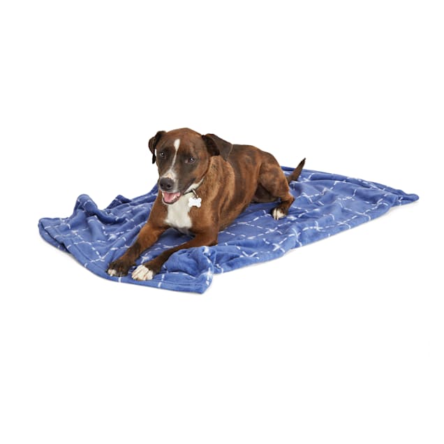 EveryYay Let's Snuggle Pet Throw, 50" L X 60" W, Navy Dot - Carousel image #1