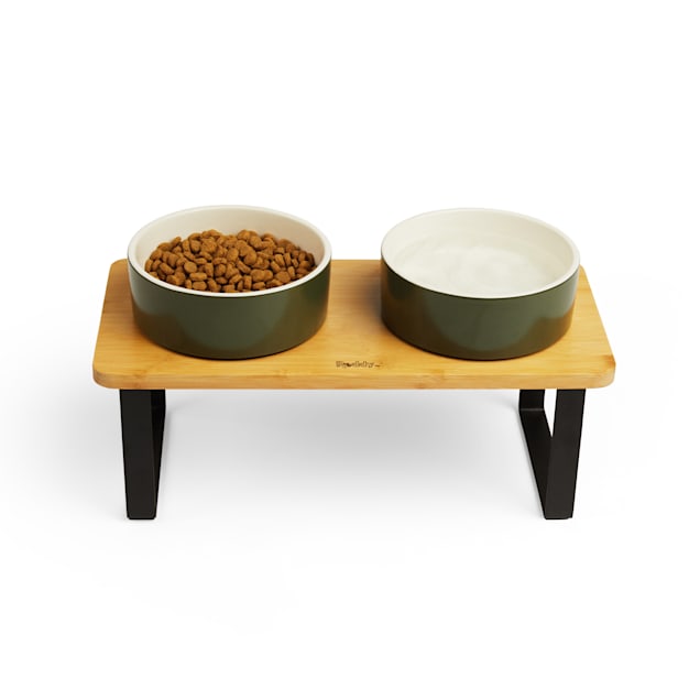 Reddy Green Elevated Double Diner Dog Bowl, 3.75 Cups