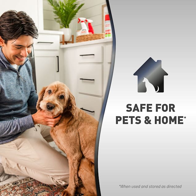 Best 2025 housebreaking spray