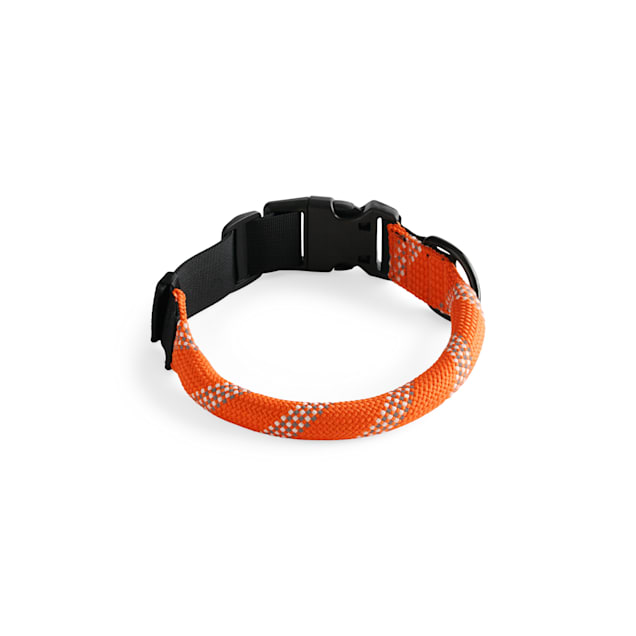 Petco prong cheap collar