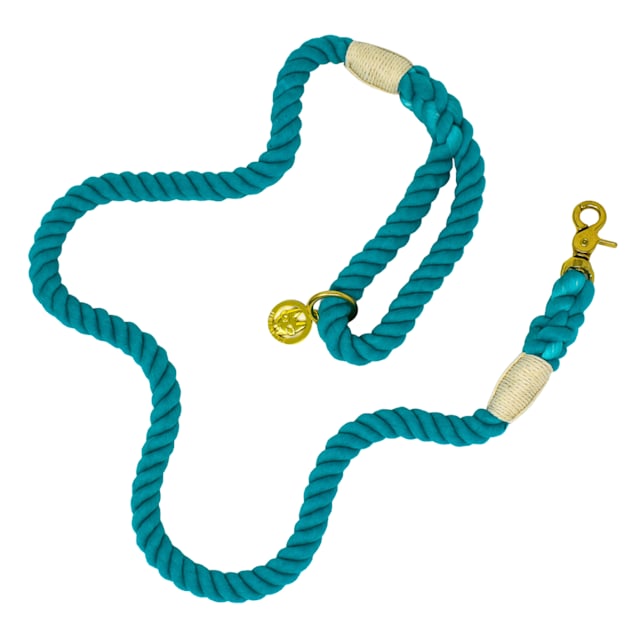 Pink Papyrus Green Ariel Rope Dog Leash, 4 ft.