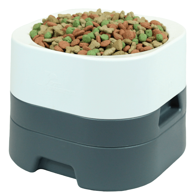 Untippable water on sale bowl for cats