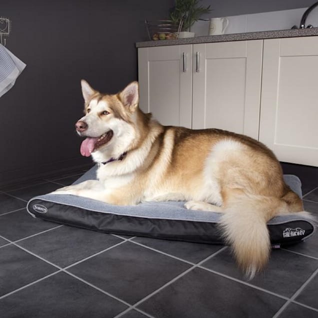 Scruffs chateau memory foam 2025