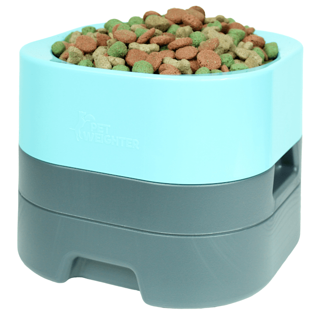 Untippable water bowl top for cats