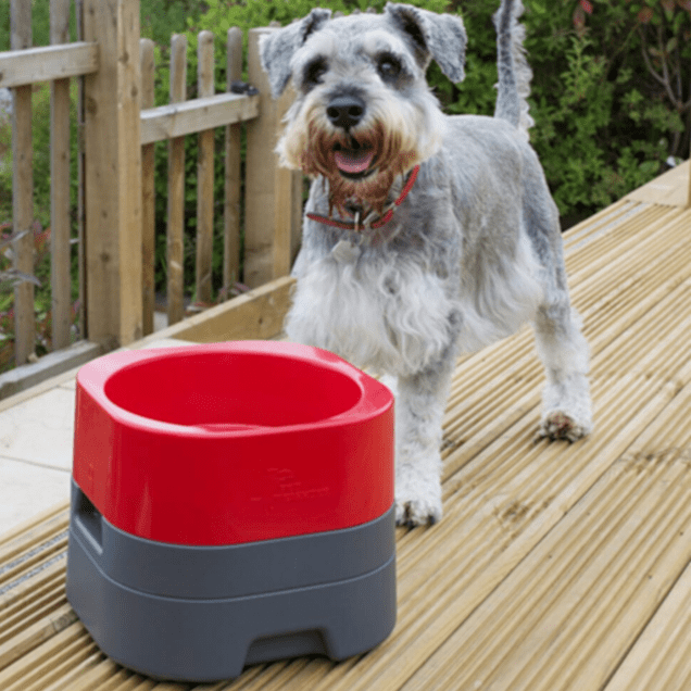 Petweighter Large & Heavy Dog Food Elevated Dog & Cat Water Bowl (Large) - Hot Pink