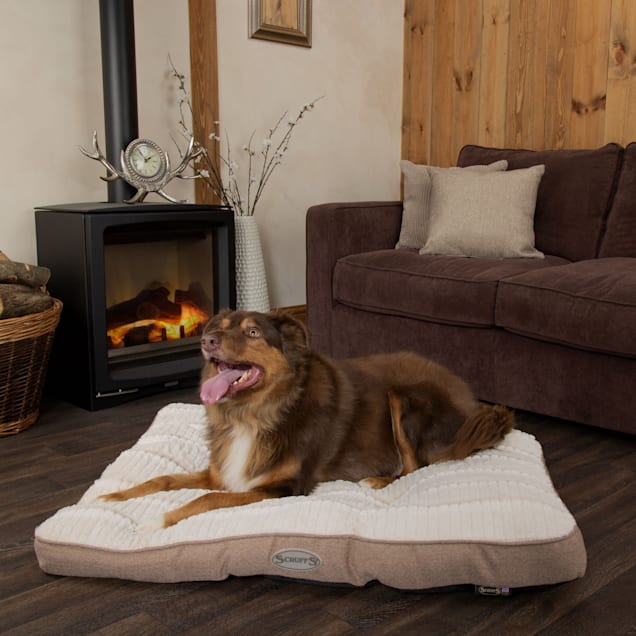 Scrufts store dog beds