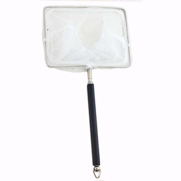 Lifegard Aquatics Square Aquarium Net with Aluminum Telescopic Rubber Coated Handle, 5" L X 4" W - Carousel image #1