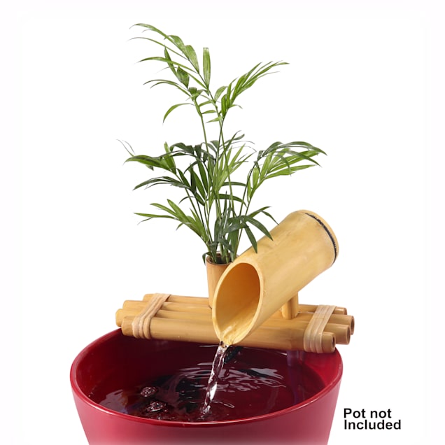 Lifegard Aquatics Bamboo Fountain with Plant Holder and Quiet One 100 Pump, 18" L X 18" W X 5" H - Carousel image #1