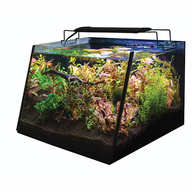 Lifegard Aquatics Full-View Angled Front Aquarium with LED Light and  Submersible Filter, 7 Gallon, 16.1 L X 14.5 W X 10.9 H