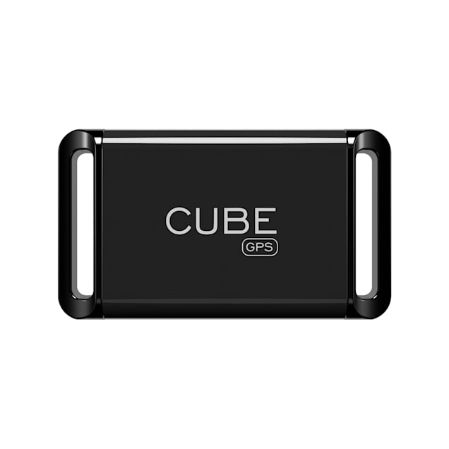 Cube Tracker GPS for Dog and Cat Real Time