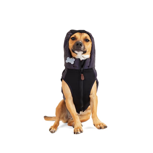 Reddy dog puffer jacket hotsell