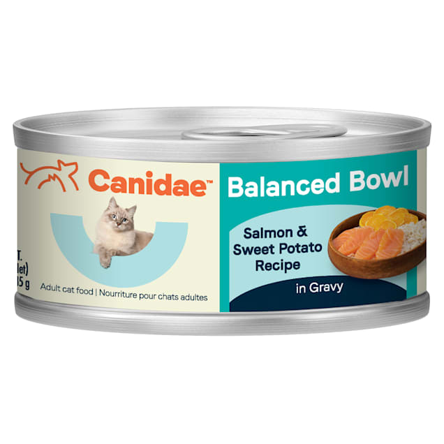 Canidae Balanced Bowl Salmon & Sweet Potato Recipe Wet Cat Food, 3 oz., Case of 24 - Carousel image #1