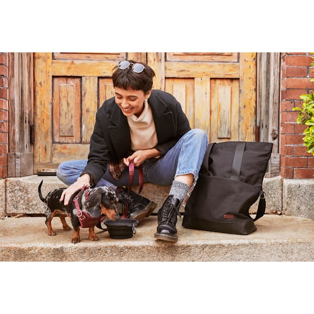 Weekend bag for dogs cheap