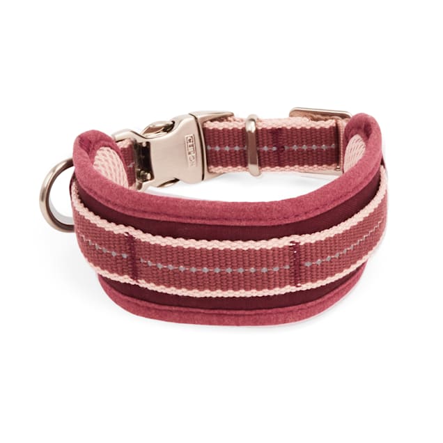 Reddy dog collar hot sale