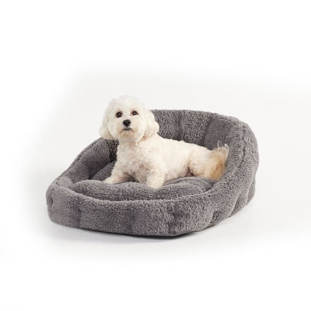 Dog lounger new arrivals