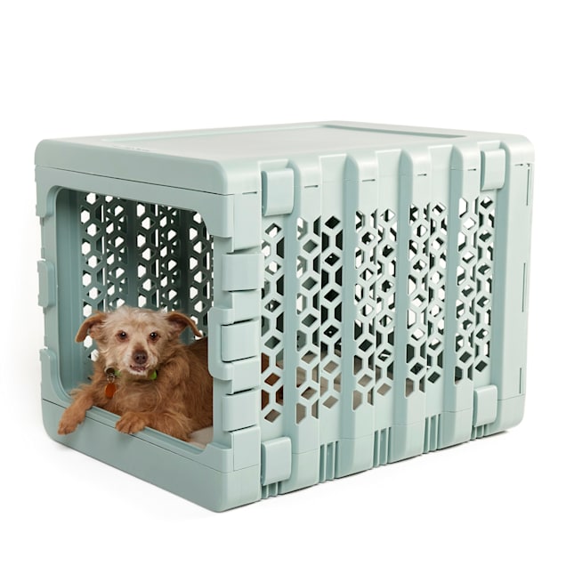 Petco plastic dog crate 2025