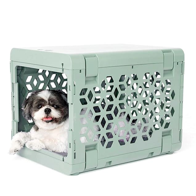 Plastic collapsible dog crate sale