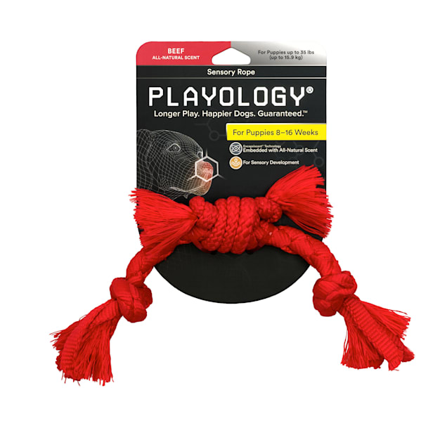 Playology Puppy Sensory Rope Beef Dog Toy, Large