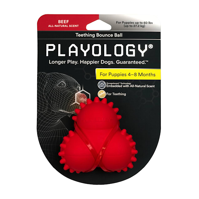 Petco teething hot sale toys