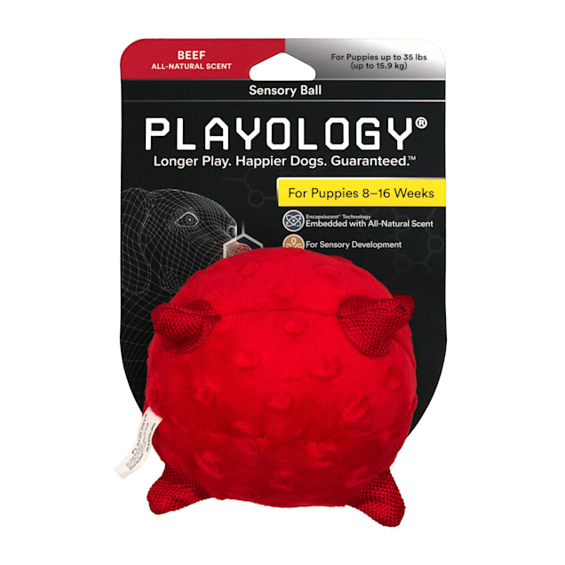 Playology Puppy Sensory Ball Beef Dog Toy, X-Small