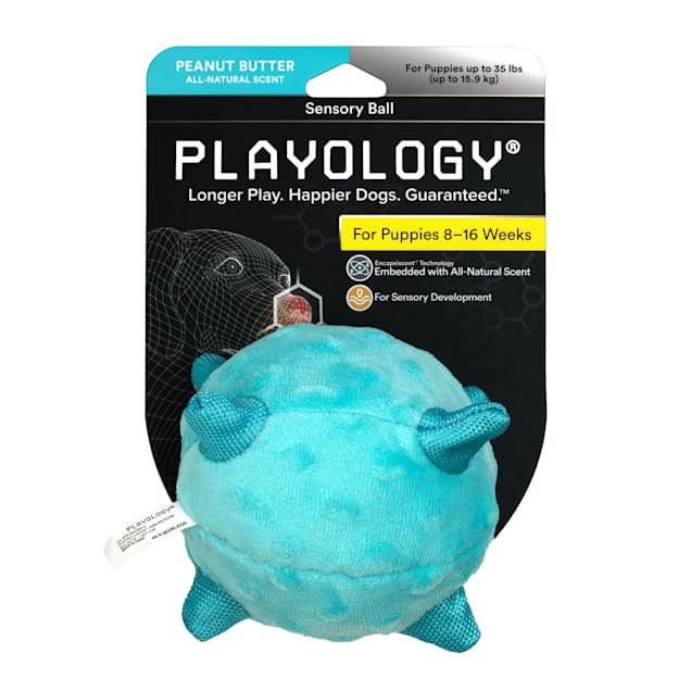 Playology Puppy Sensory Ball Peanut Butter Dog Toy, Blue, Small