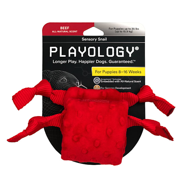 Playology Puppy Sensory Snail Beef Toy, X-Large