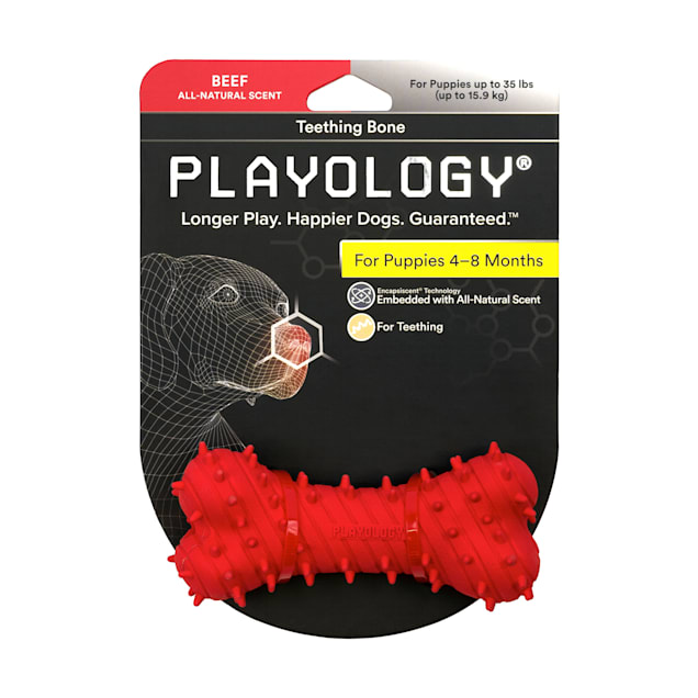 Playology Puppy Teething Bone Beef Dog Toy, X-Small