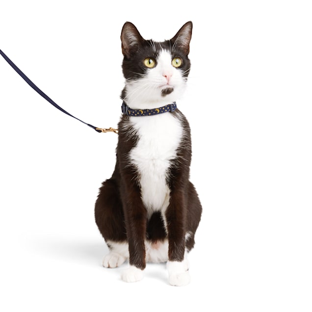 YOULY Moon & Star Cat Harness & Leash Kit Petco