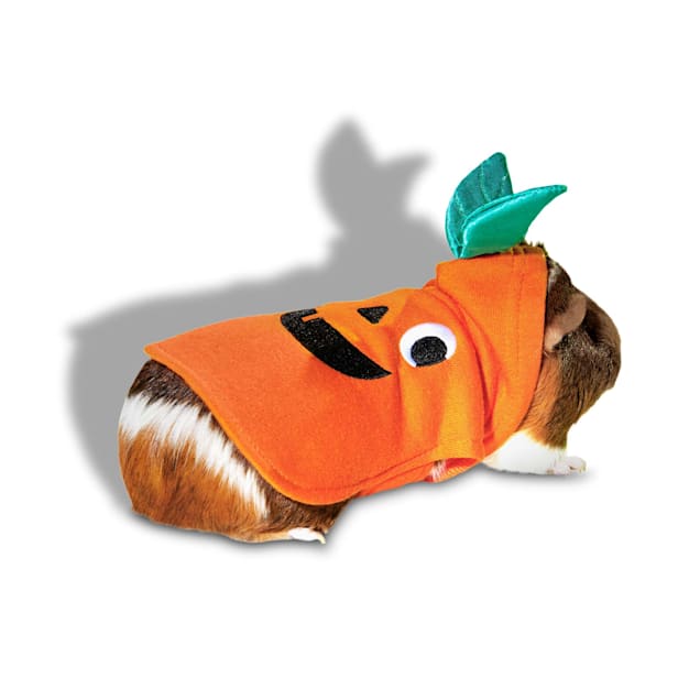 Jack jack dog costume outlet