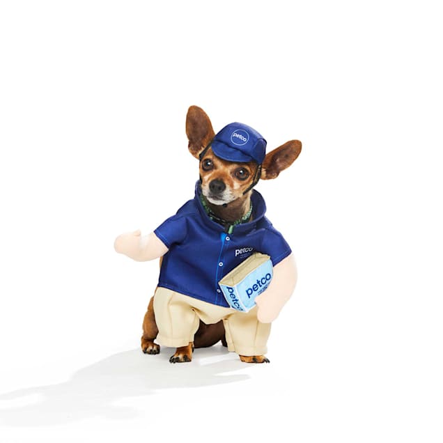 Dog Mail Carrier Costume USPS ubicaciondepersonas.cdmx.gob.mx