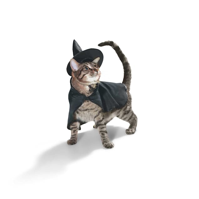 Cat booties petco new arrivals