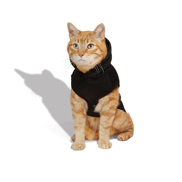 Petco cat sweater deals