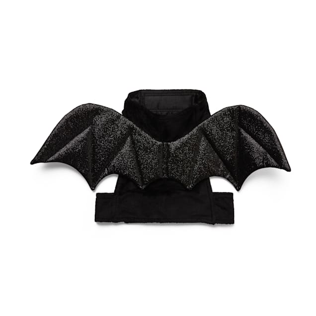 Cat bat hot sale costume