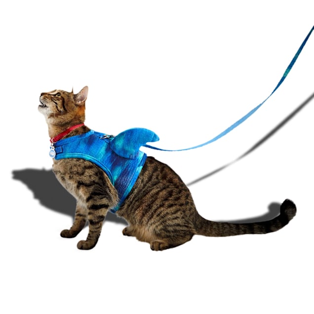 Shark cat collar top