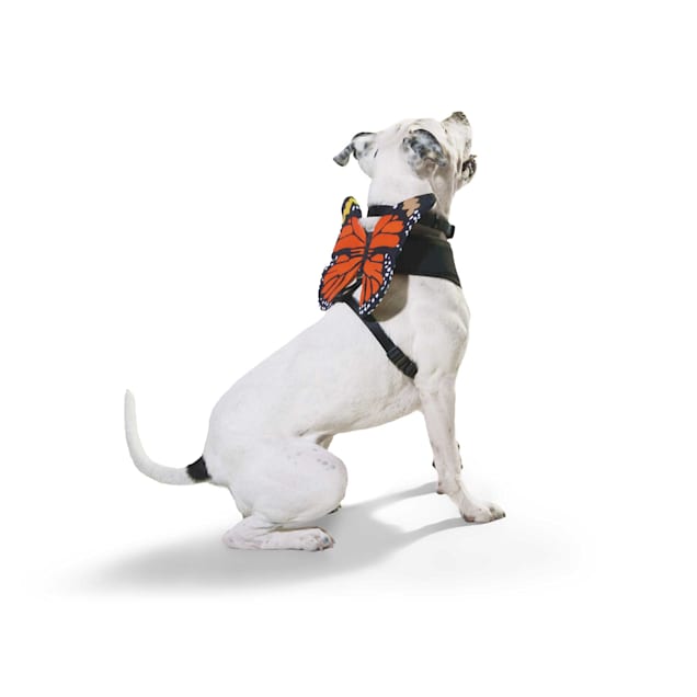 Bootique Butterfly Dog Harness Costume, XSmall Petco