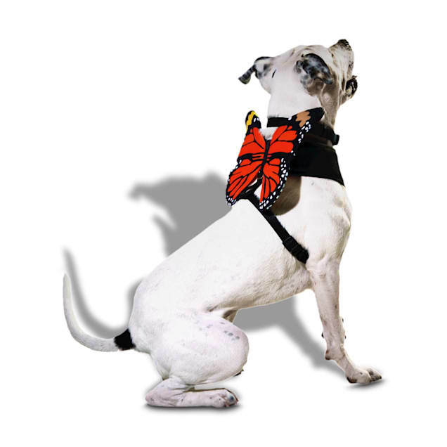 Dog clearance harness costume