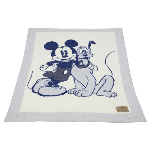 Disney dog blanket hotsell