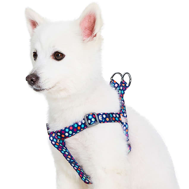 Blueberry Pet Essentials Rainbow Polka Dots Adjustable Dog Harness Small