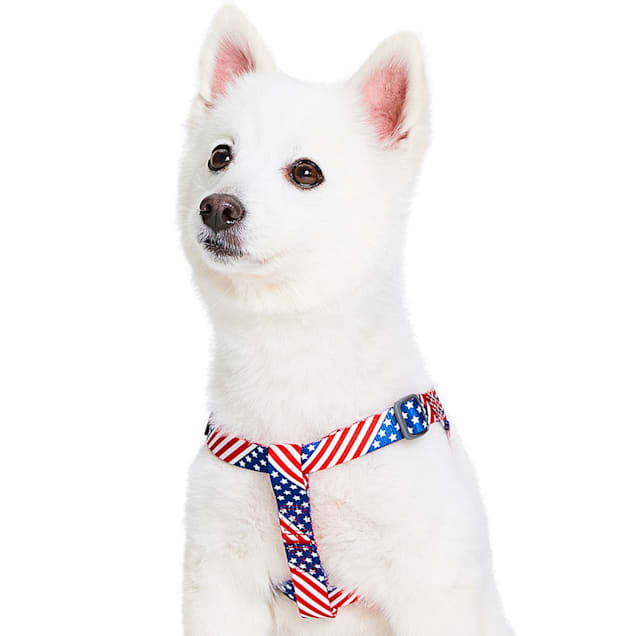 Small Dog Harness Philadelphia Phillies Made in USA Dog 