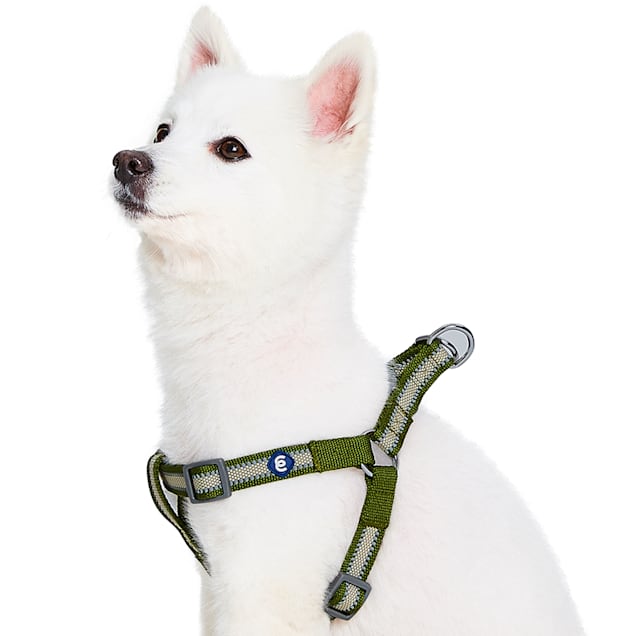 Chevron - Blueberry Uptown Dog Leash