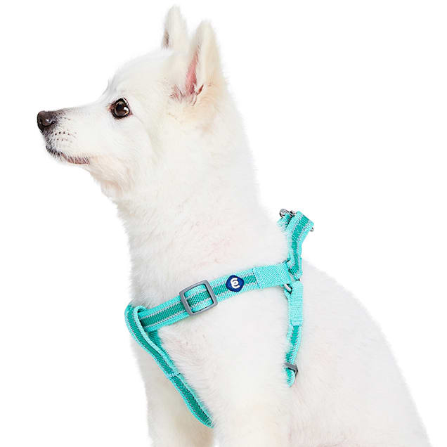 Blueberry Pet Essentials Minty Green Reflective Back to Basics Adjustable Dog Harness, Medium - Carousel image #1